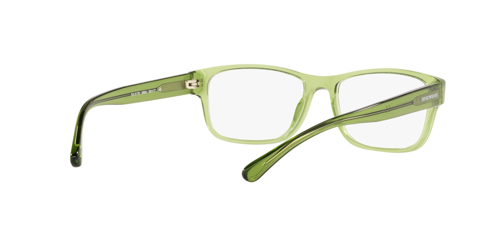 Emporio Armani EA 3179 5884