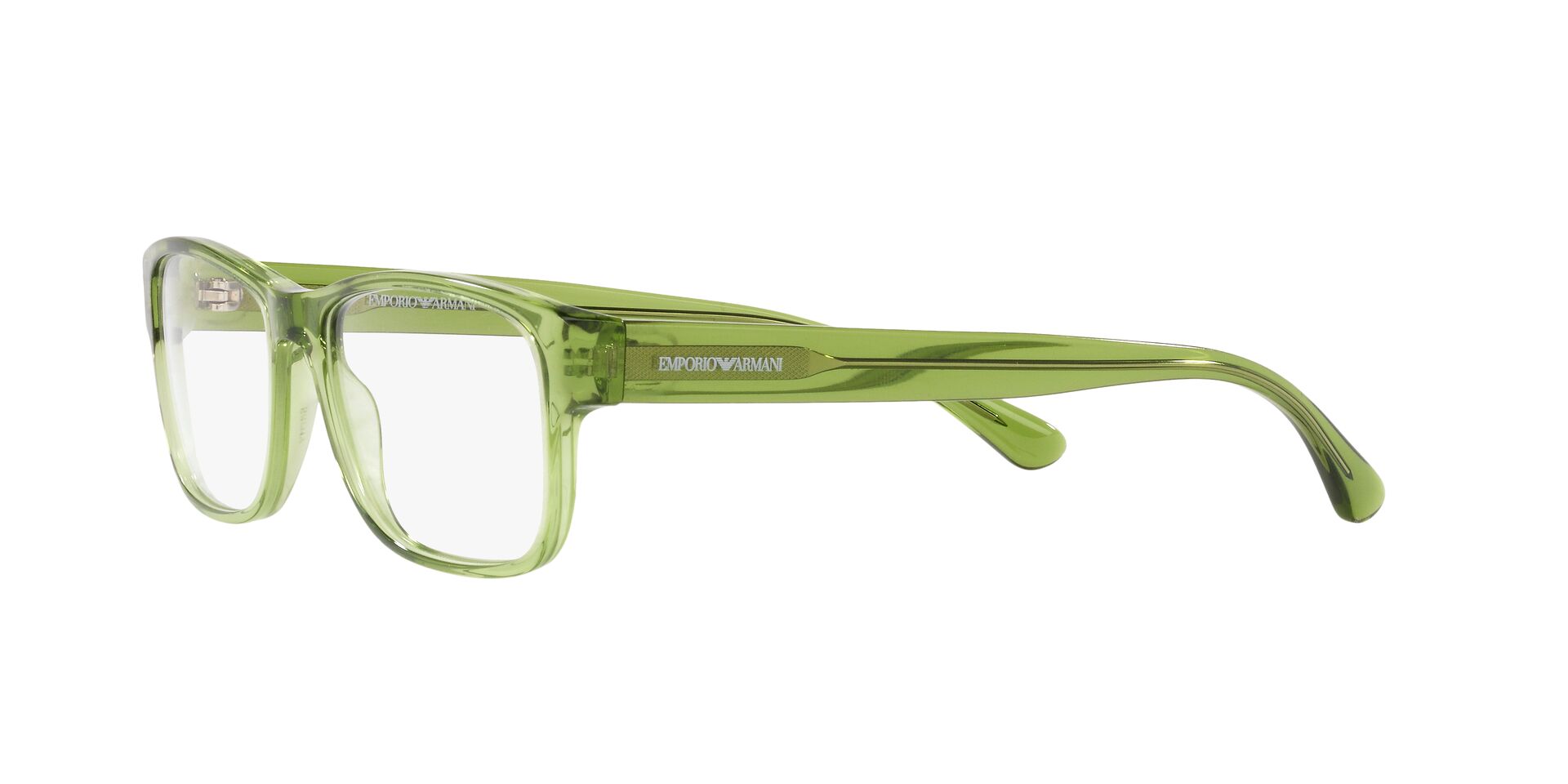 Emporio Armani EA 3179 5884