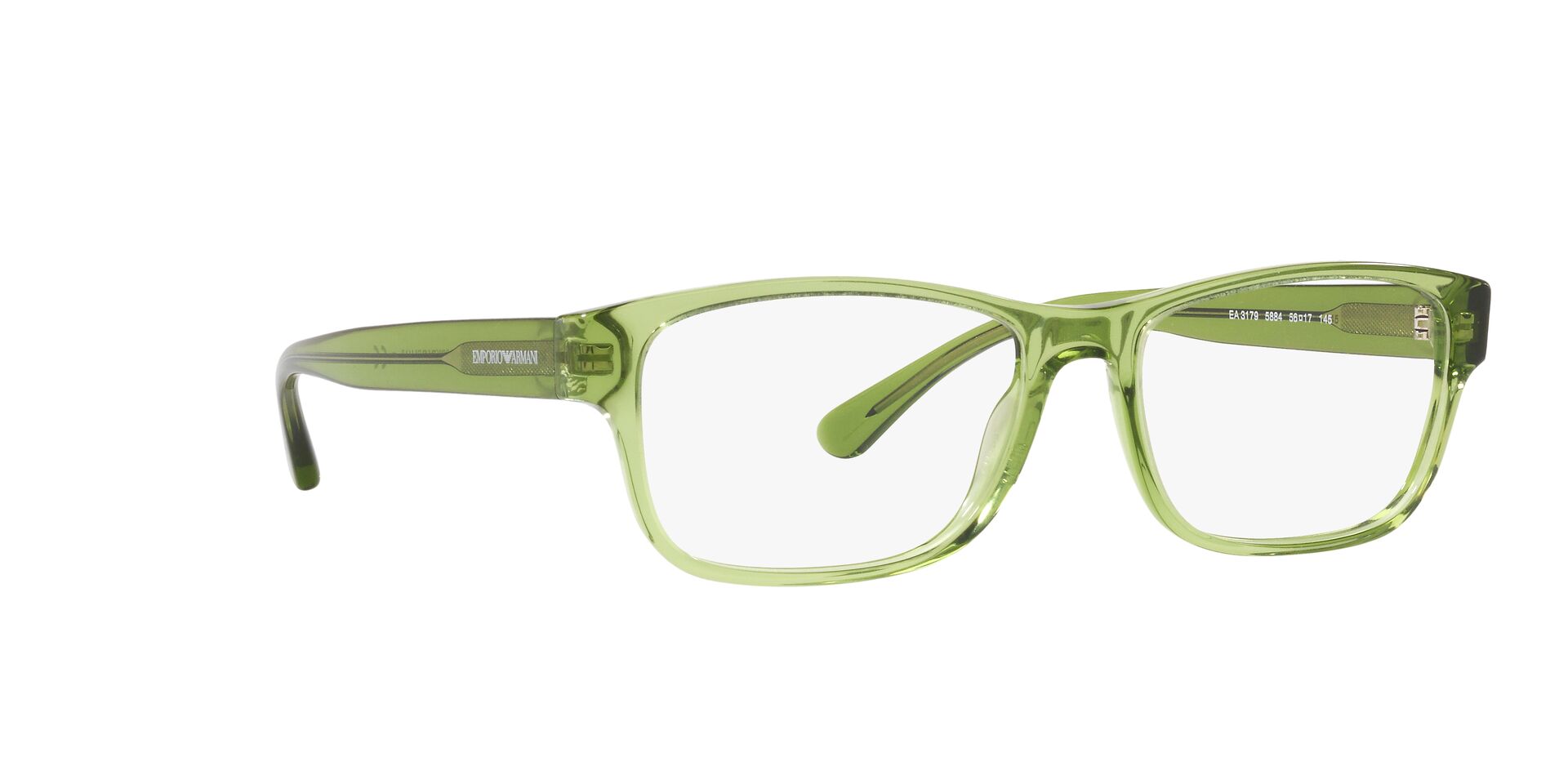 Emporio Armani EA 3179 5884