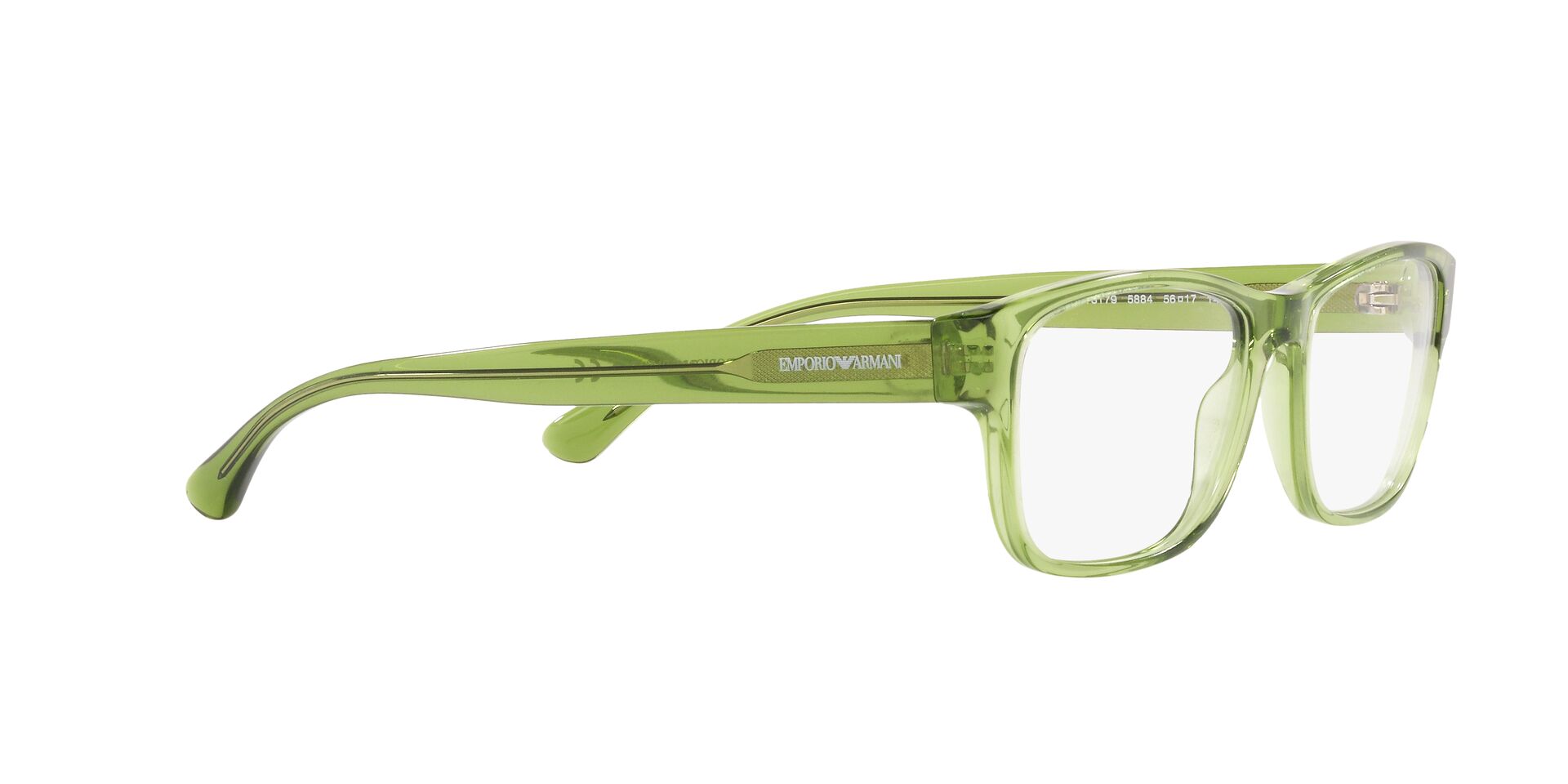 Emporio Armani EA 3179 5884