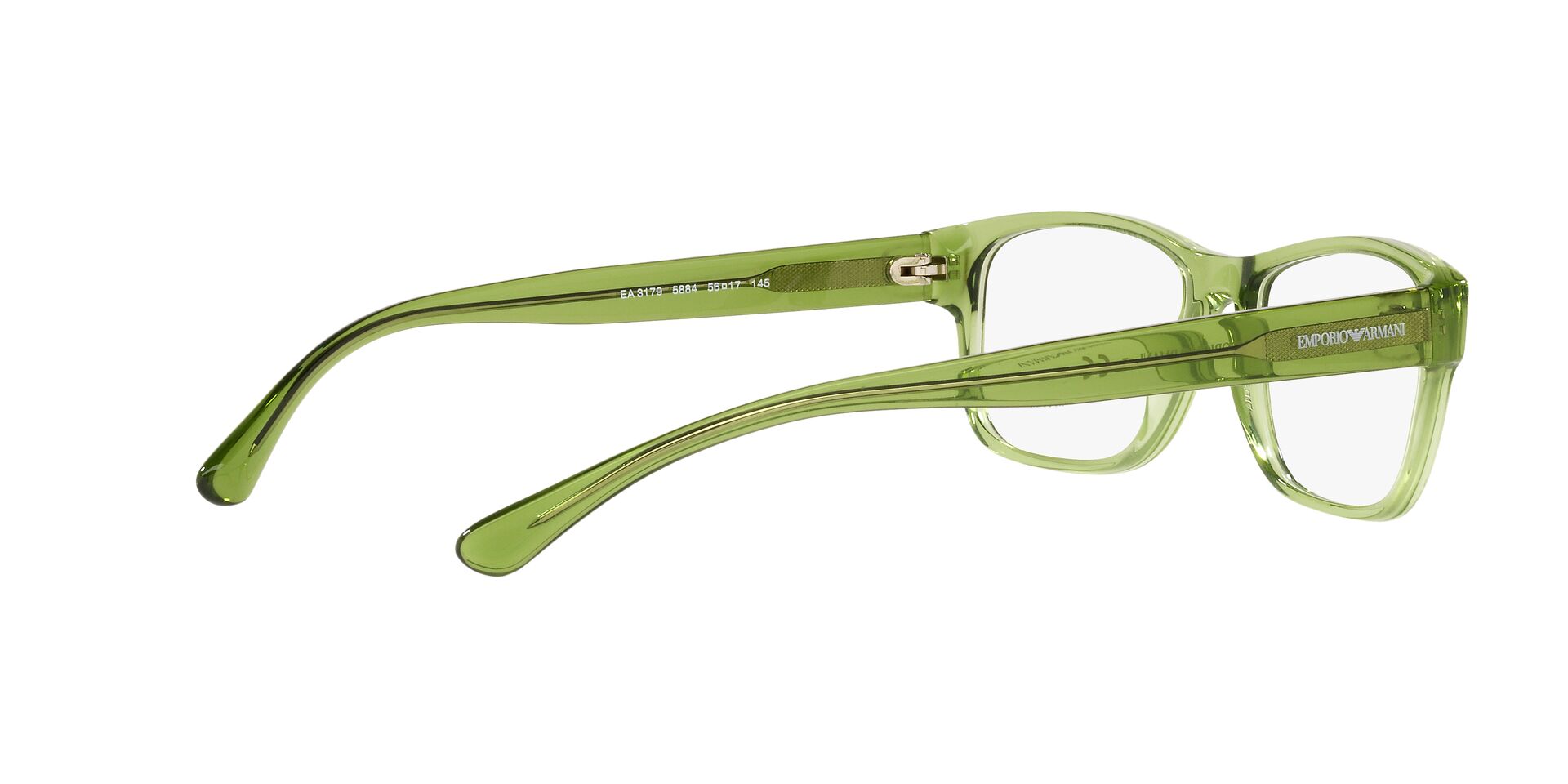 Emporio Armani EA 3179 5884