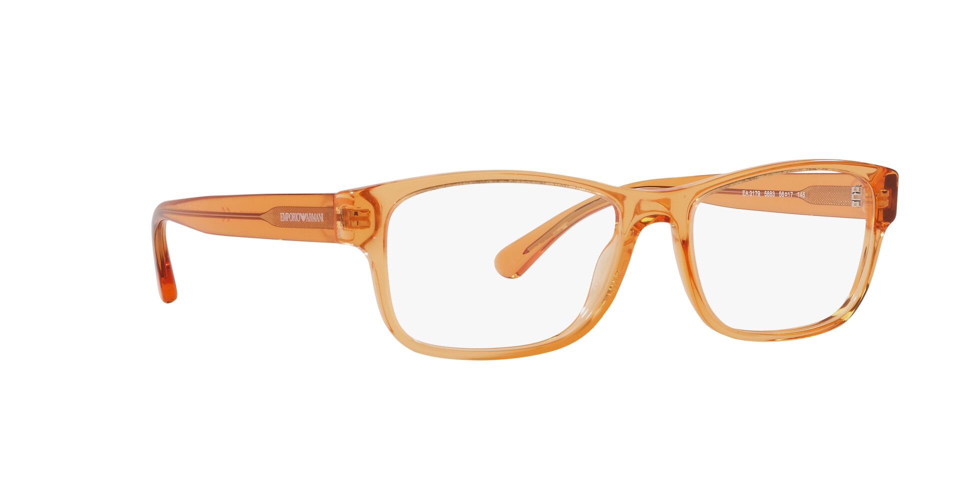 Emporio Armani EA 3179 5883