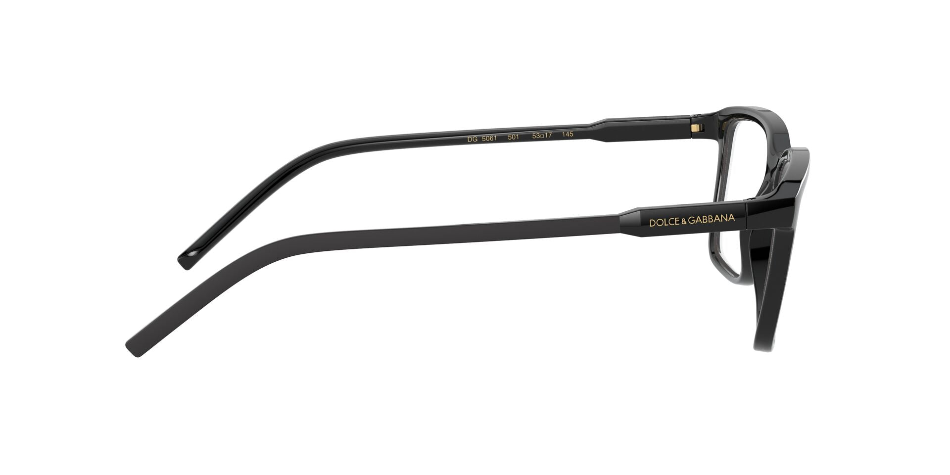 Dolce&Gabbana DG 5061 501