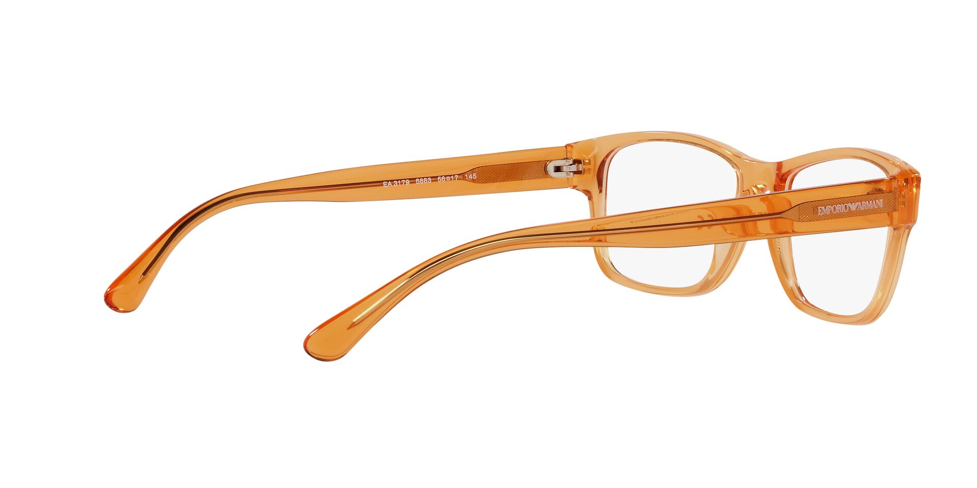 Emporio Armani EA 3179 5883