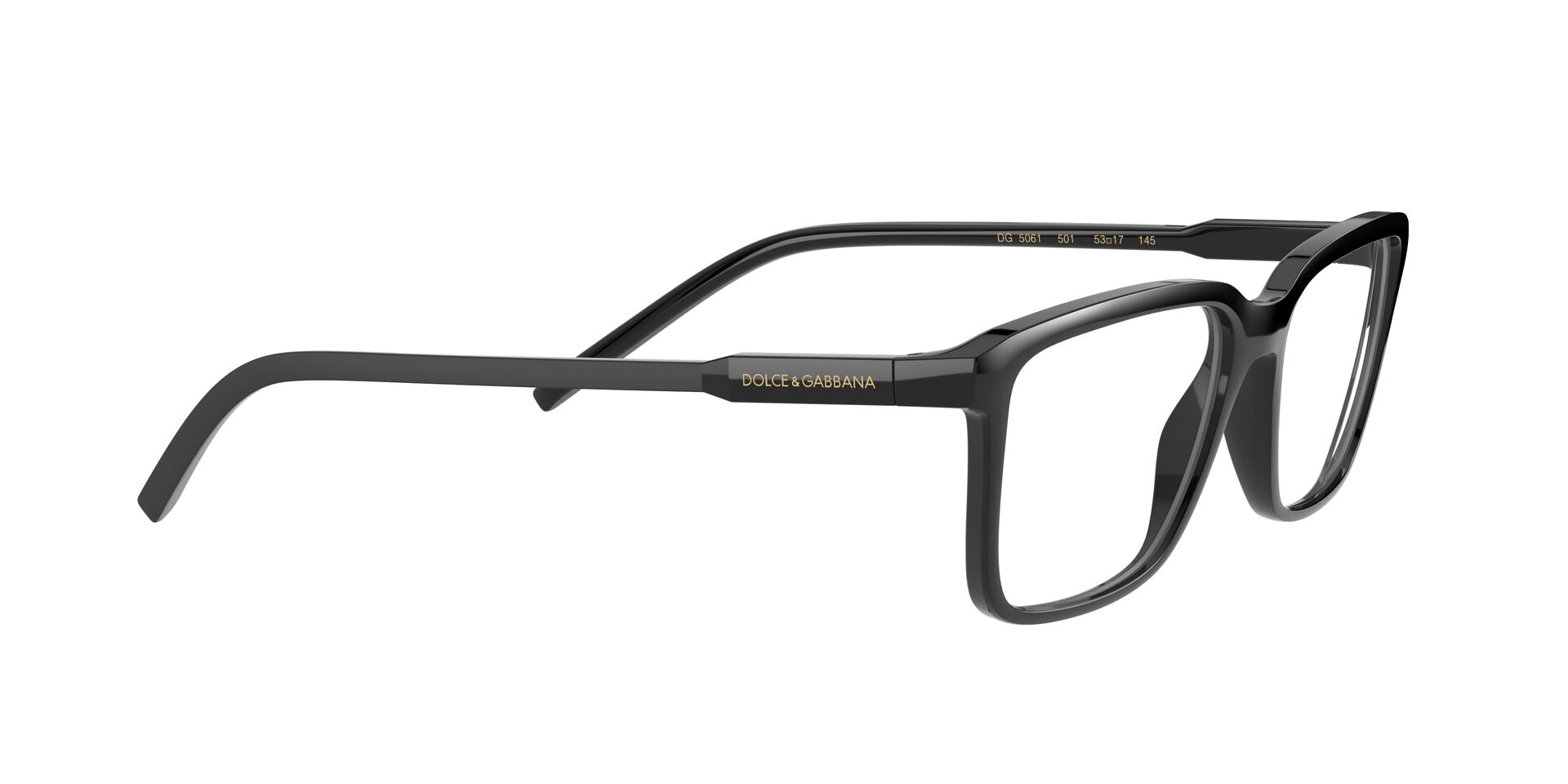 Dolce&Gabbana DG 5061 501