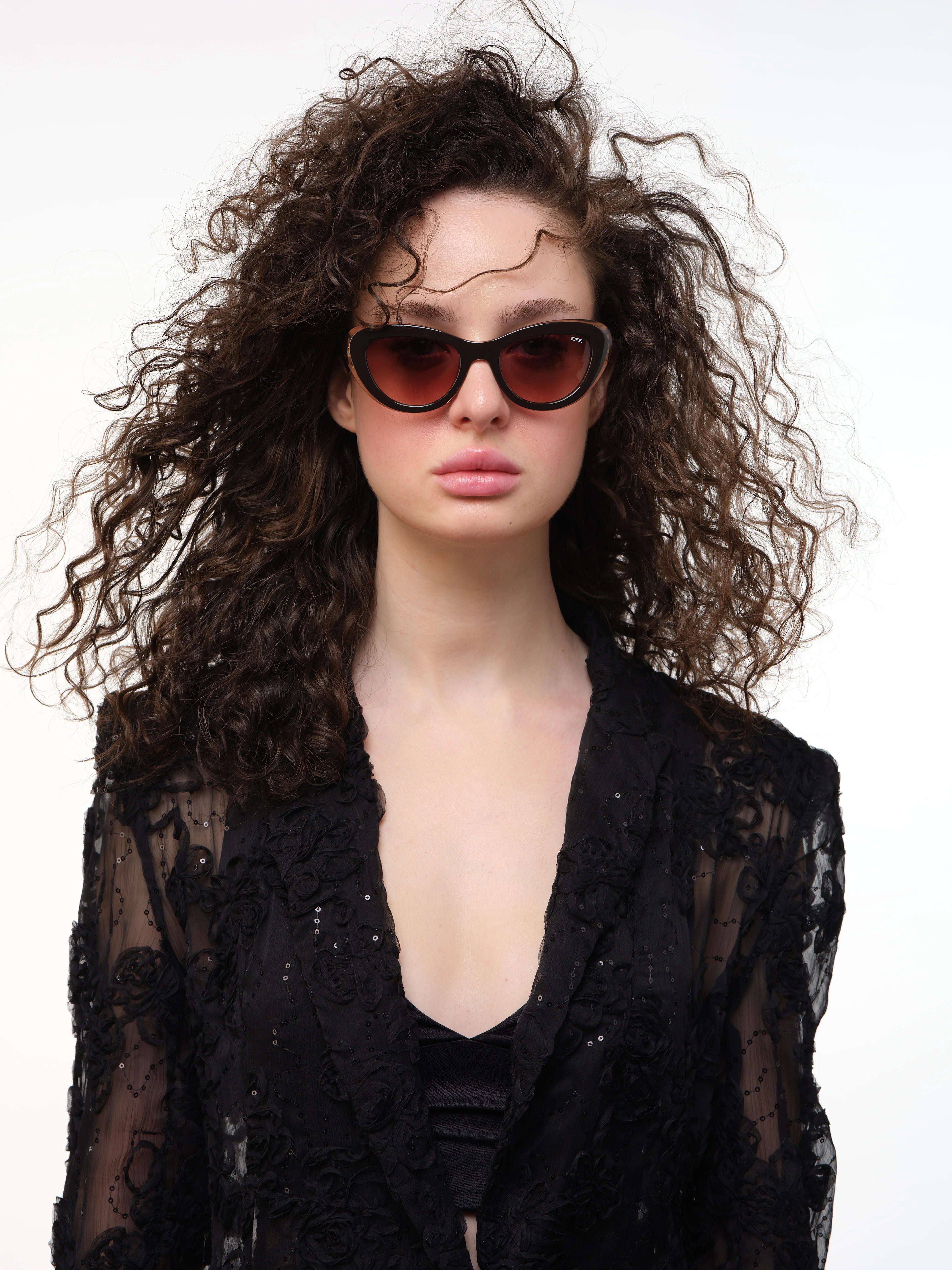 Fall 2026 Collection