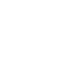 Authentic Brands